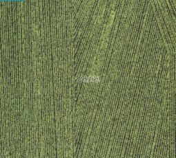 Milliken Facet fct 88-141 Forest фото 1 | FLOORDEALER